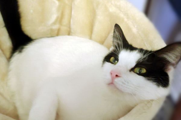 wilo-09C1DF21CC-1370-2D2A-B954-055091F5D84A.jpg