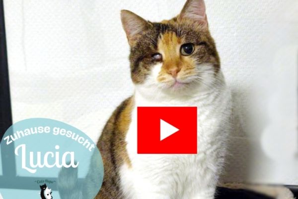 video-lucia-720-x-540-px-1A27B66A5-6EA7-0DB9-8FF1-8455A2642CF5.jpg
