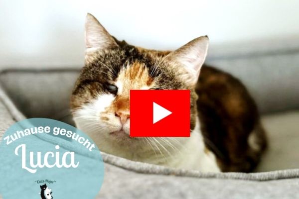 video-lucia-720-x-540-px7189A639-28A7-57A1-528F-F2D674C742F9.jpg