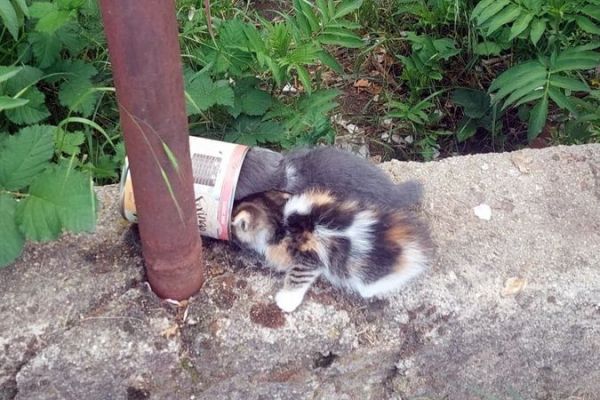 alinakessie-35327D40B1-9FA6-595E-D2E5-D02EB8CBBCFE.jpeg